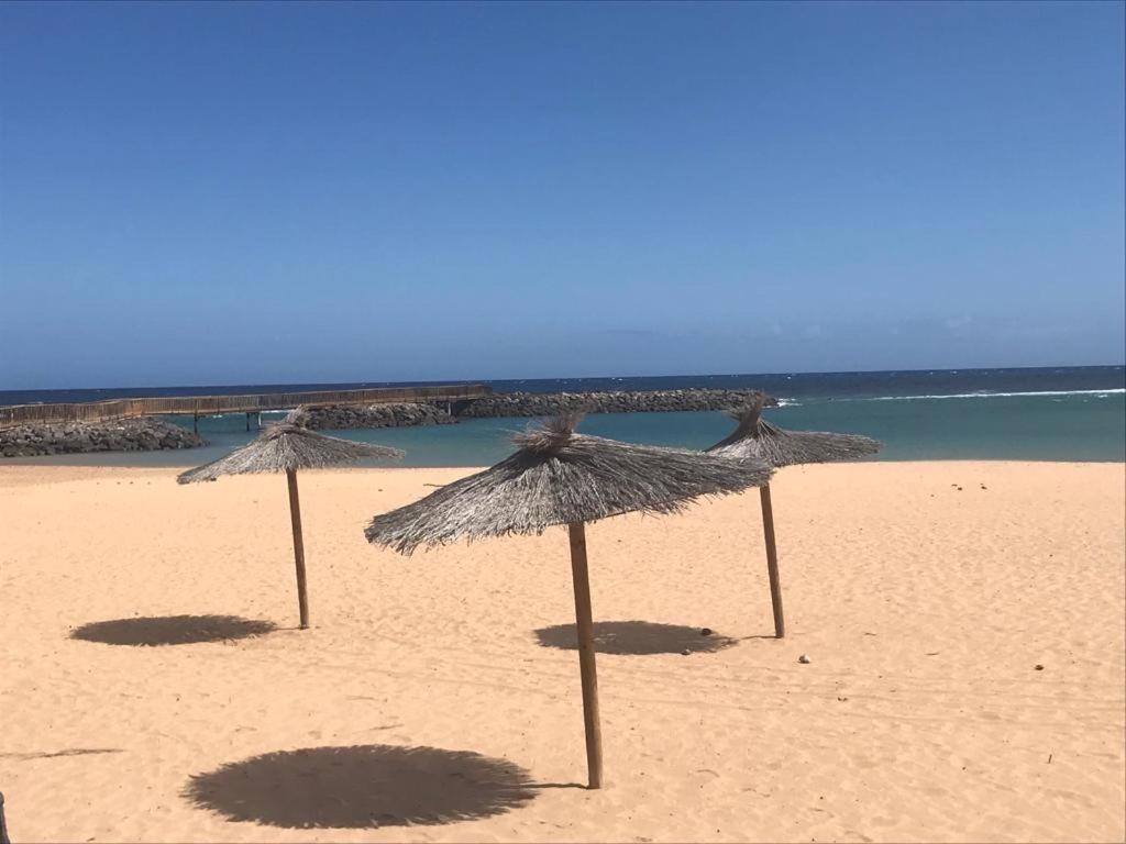Casa Palmera Costa De Antigua Esterno foto